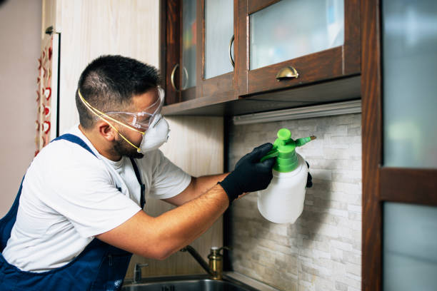 Pest Control for Restaurants in Boulder Hill, IL