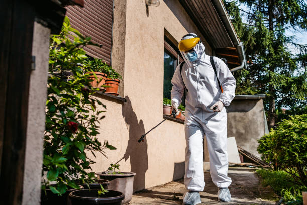 Best Mosquito Control Services  in Boulder Hl, IL