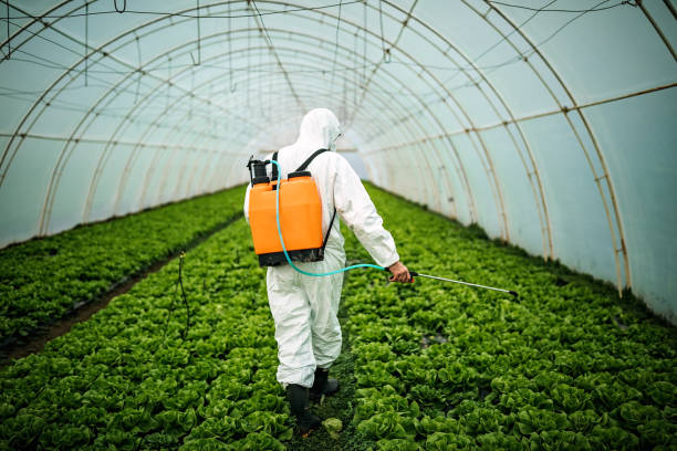 Best Insect Control  in Boulder Hl, IL