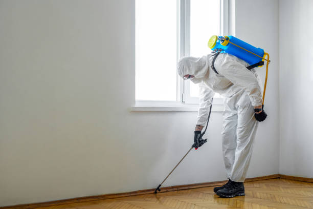Best Cockroach Control Services  in Boulder Hl, IL
