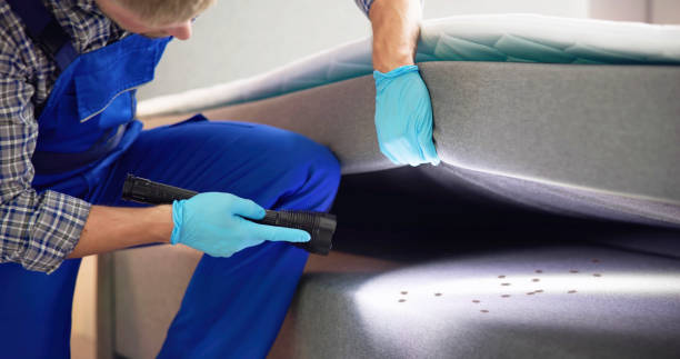 Best Insect Control  in Boulder Hl, IL