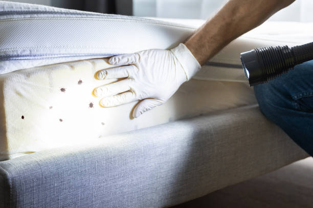 Boulder Hill, IL Pest Control Company