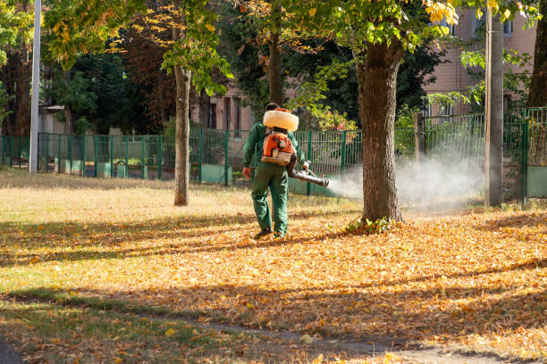 Best Best Pest Control Companies  in Boulder Hl, IL