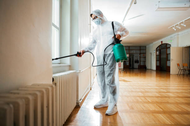 Best Affordable Pest Control Services  in Boulder Hl, IL
